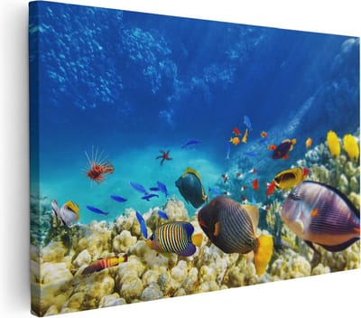 Artaza Canvas Schilderij Koraalrif - 30x20 cm - Klein - Wanddecoratie Tropische Vissen - Muurdecoratie Zee - Kamer Accessoires Onderwater