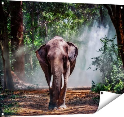 Gards Tuinposter Olifant in het Bos - 100x80 cm - Tuindoek - Tuindecoratie - Wanddecoratie buiten - Tuinschilderij