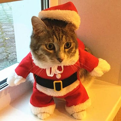Kerstkattenkostuums Grappige kerstmankleding voor kleine katten Honden Kerstmis Nieuwjaar Huisdierkattenkleding Winter Kitty Kitten-outfits XS brown