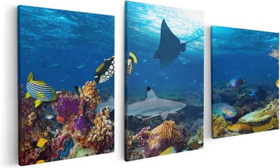 Artaza Canvas Schilderij Drieluik Vissen met Koraalrif in de Oceaan - 120x60 - Foto Op Canvas - Canvas Print