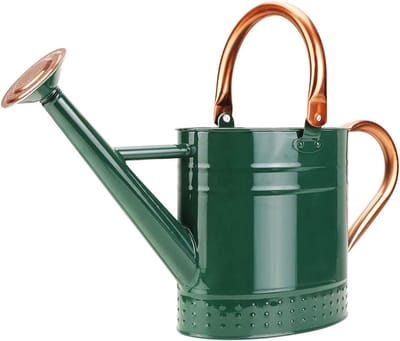 Gieter Staal - Waterkan Tuin - Planten Water Geven - Gegalvaniseerd Metaal - 1 Gallon Capaciteit - Groen