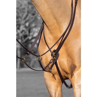 Lemieux Martingaal Kudos Running Middenbruin-goud - paard