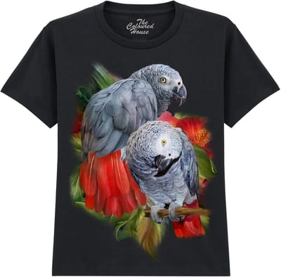 KIDS Roodstaart African Greys The Coloured House KIDS T-shirt XL