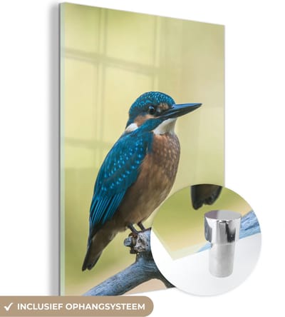 MuchoWow® Glasschilderij 30x40 cm - Schilderij acrylglas - IJsvogel - Tak - Vogel - Foto op glas - Schilderijen