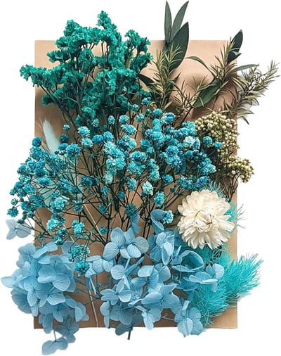 JGS Premium - Gedroogde bloemen bladeren voor kunstbloemen en nagelkunst - Natuurlijke decoratieve bloemen voor ambacht en DIY - Mix van gedroogde bloemen