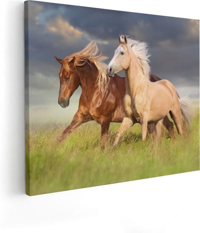 Artaza Canvas Schilderij Paarden - 100x80 cm - Groot - Wanddecoratie Dieren - Muurdecoratie Woonkamer - Schilderij Natuur