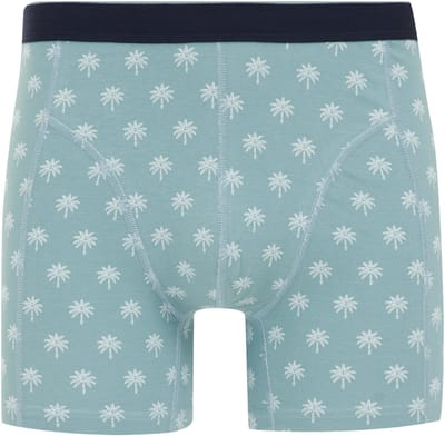WE Fashion Heren boxer met print