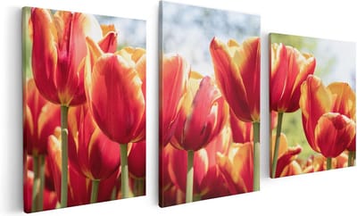 Artaza Canvas Schilderij Drieluik Oranje Rode Tulpen  - 120x60 - Foto Op Canvas - Canvas Print