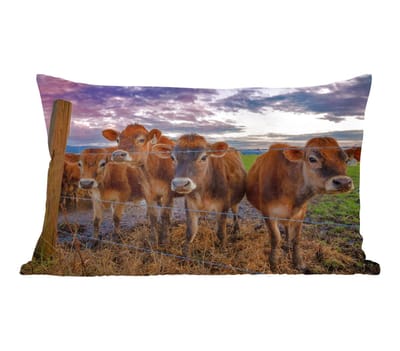 Sierkussens - Kussentjes Woonkamer - 60x40 cm - Koe - Dieren - Koeien