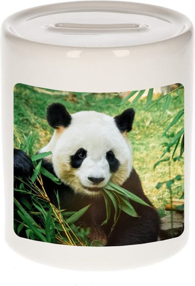 Dieren panda foto spaarpot 9 cm jongens en meisjes - Cadeau spaarpotten pandaberen liefhebber