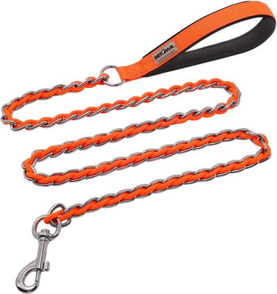 Hondenriem Ketting - Hondenlijn - Buitenwandelen Hond - Versterkt Metaal Nylon - 5 voet - Oranje