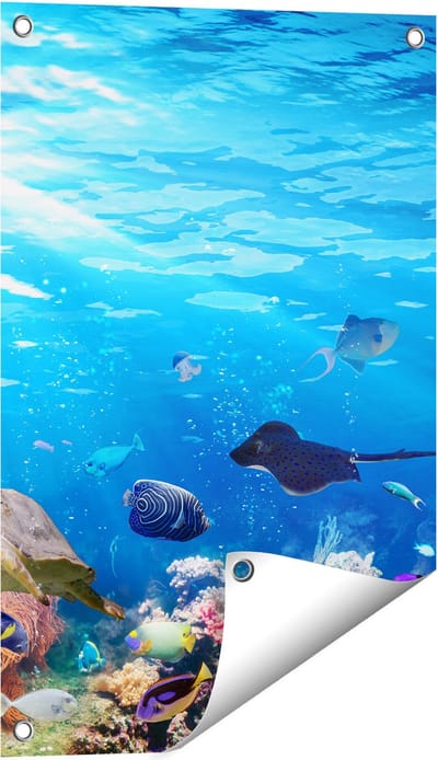 Gards Tuinposter Vissen met Koraalrif onder Water - 40x60 cm - Tuindoek - Tuindecoratie - Wanddecoratie buiten - Tuinschilderij