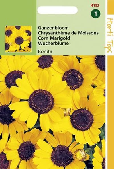 Hortitops Zaden - Chrysanthemum Segetum Eldorado Geel