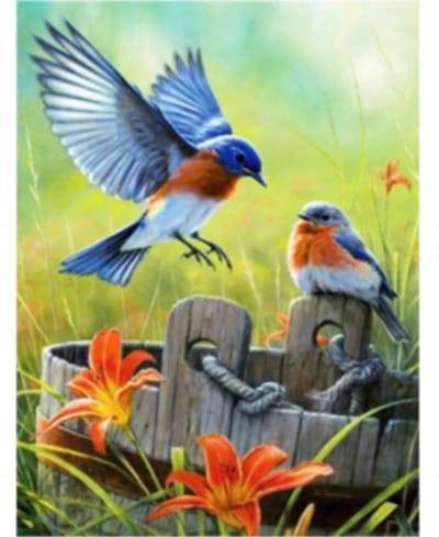 Goodli Diamond Painting - Vogeltjes op een Emmer - voor Volwassenen en Kinderen - Diamant Painting Volledig Pakket - Ronde Steentjes - 30x30 cm - DIY 5D Diamanten