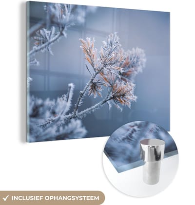MuchoWow® Glasschilderij 160x120 cm - Schilderij acrylglas - Dennennaalden - Planten - IJs - Sneeuw - Winter - Foto op glas - Schilderijen