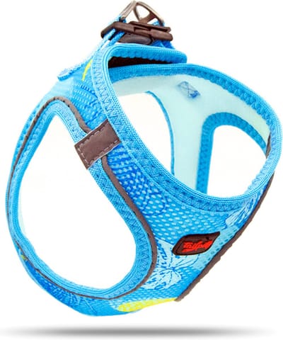Tailpetz - Air-Mesh Harness - Hondenharnas - Hondentuig - Hondentuigje Kleine Hond - Y Tuig Hond - Harnas Hond - Anti Trek Tuig Hond - Reflecterend - Maat 3XS - Omnia