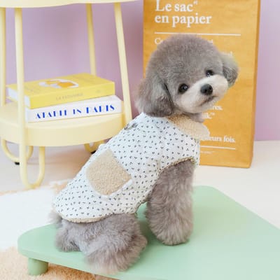 Herfst en Winter Pluche Zak Hondenkleding met Tekenbare Zak Sterrenlicht Jas Teddy Hond Parka's met Pluche Kleine Huisdierkleding XL