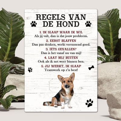 Spreuken - Welsh Corgi Cardigan - Regels Van De Hond - Spreuken Bordjes - Spreukenbord - Tekstborden - Cadeau - Hondenras