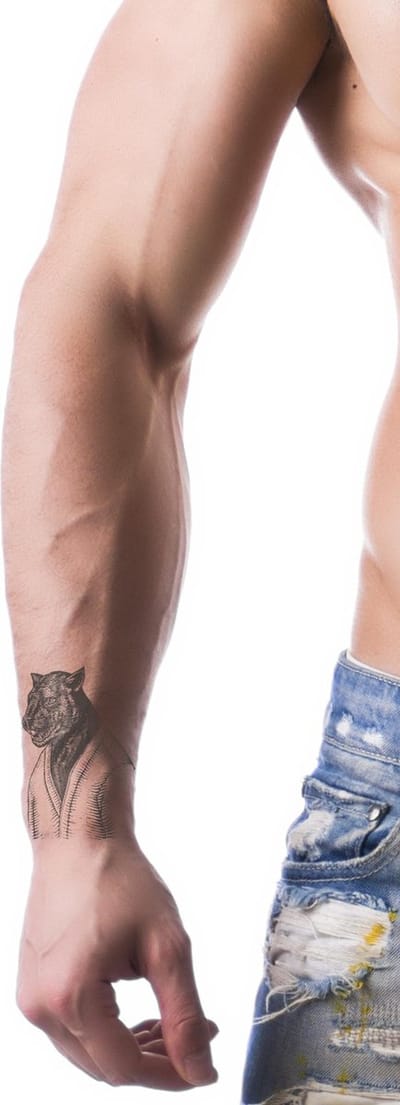 Fine Line Tattoos- Henna Plak Tattoos / Tijdelijke Tattoo / Nep Tatoeage / Fake Temporary Tattoo - Zakelijke kat - 4x