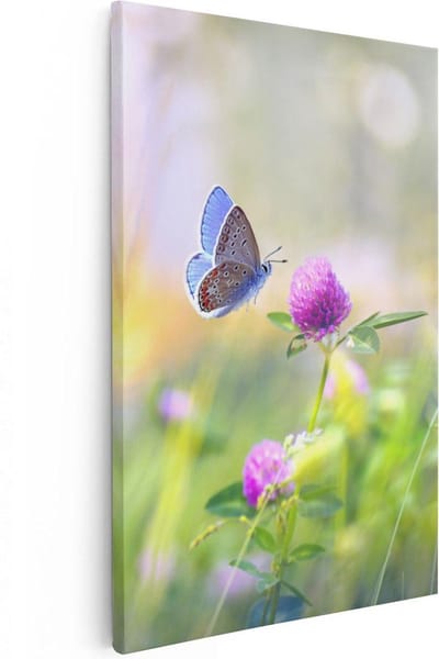 Artaza Canvas Schilderij Klaverbloem - 20x30 cm - Klein - Wanddecoratie Vlinder - Muurdecoratie Natuur - Schilderijen Op Canvas