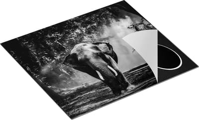 Chefcare Inductie Beschermer Olifant in het Bos - Zwart Wit - 60x50 cm - Afdekplaat Inductie - Kookplaat Beschermer - Inductie Mat