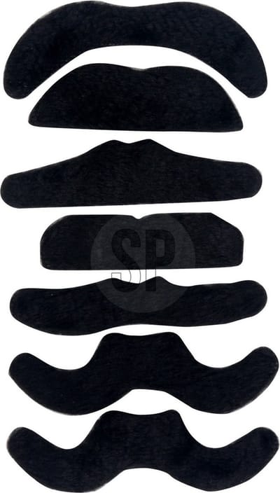 Zelfklevende plaksnorren set van 7 stuks - carnaval/verkleed accessoires - zwart - nepsnorren