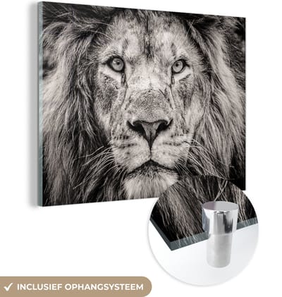 MuchoWow® Glasschilderij 40x30 cm - Schilderij acrylglas - Leeuw - Wild - Zwart - Wit - Foto op glas - Schilderijen