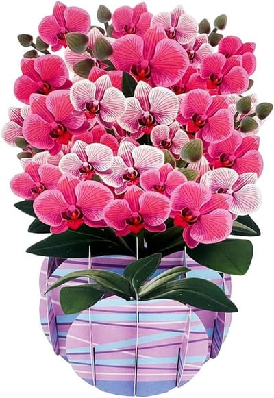 3D Pop Up Bloemenkaart met Vlinder en Orchideeën Versieringen voor Verjaardag, Moederdag en Jubileum voor Vrouwen, Moeders en Grootmoeders