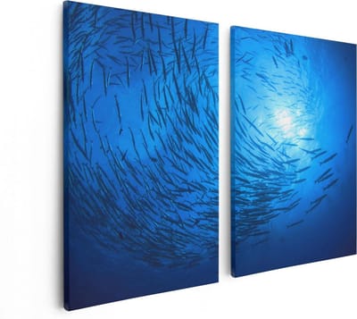 Artaza Canvas Schilderij Tweeluik Zwerm Vissen in de Oceaan - 80x60 - Foto Op Canvas - Canvas Print