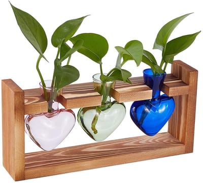 Dailygoody - Plant Kweekstations - Hydrocultuur Vaas - Uniek Design - Houten Standaard - Tuin Decoratie - Kantoor Accessoire - 28 x 7,7 cm