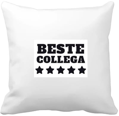 Akyol - beste collega Kussen hoes - Beste collega - teamgenoot - cadeau - 40 bij 40 cm