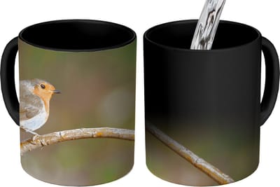 Magische Mok - Foto op Warmte Mokken - Koffiemok - Roodborstje - Vogel - Natuur - Magic Mok - Beker - 350 ML - Theemok