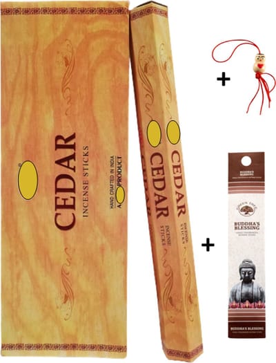 2 Kokers - Wierook - Wierookstokjes - Wierooksticks - Incense sticks - Cedar - 40 stokjes + 5 mini wierookstokjes + Gelukspoppetje