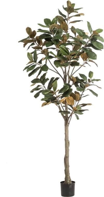 Emerald - Kunstboom Magnolia Denudata 210cm - Kunstplant voor binnen - Magnolia plant - Magnolia boom