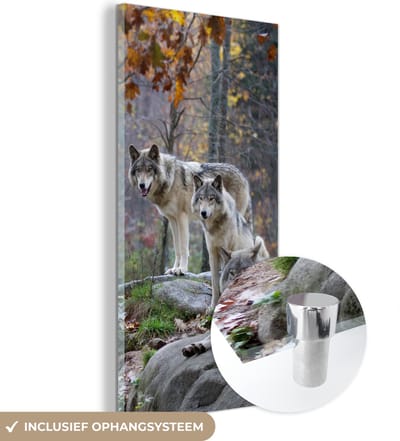 MuchoWow® Glasschilderij 20x40 cm - Schilderij acrylglas - Wolven - Rots - Bos - Foto op glas - Schilderijen
