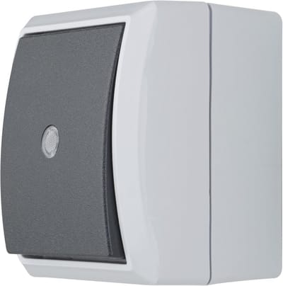 SnelShoppen - REV AquaForm Wet Room Controle Schakelaar IP44 Enkelvoudig Opbouw Grijs - 1-Pole 230V 10A Voor Badkamer, Keuken en Buiten