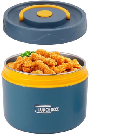 Dailygoods- Voedselthermoskan 550 ml - 2-laagse geïsoleerde lunchbox - Roestvrij staal 304 - Lekdichte afdichting - Ideaal voor picknick - Gewicht 178g