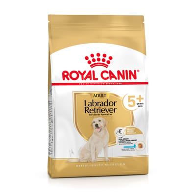 Royal Canin Labrador Retriever 5+ - Hondenvoer - 12kg - Oudere Labrador