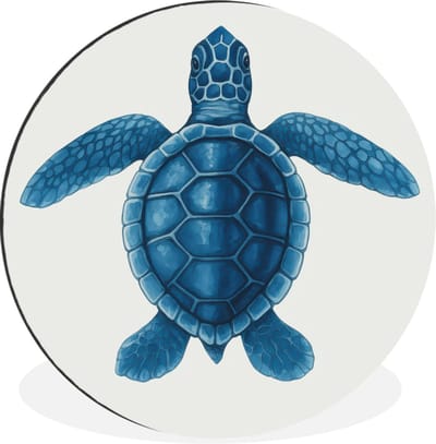 WallCircle - Wandcirkel - Muurcirkel - Schildpad - Blauw - Schild - Aluminium - Dibond - 30x30 cm - Binnen en Buiten