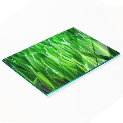 Decoratieve glazen serveerplank met afbeelding van gras voor het serveren van snacks, 80x52 cm