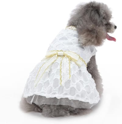 Elegante meisjeshondjurk met strik en glanzende afwerking voor kleine en middelgrote honden, perfect voor bruiloften en feestjes, zomeroutfit met kant en stijl