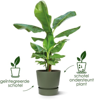 Pot elho Greenville Round zwart - D24 x H23 - (Ook)-Voor in huis