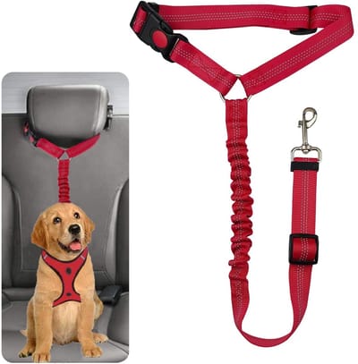 Stunq® Hondenautogordel: Robuuste Veiligheidsoplossing voor Kleine tot Middelgrote Honden