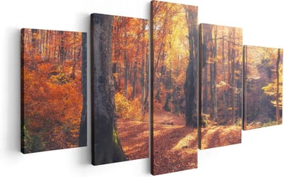 Artaza Canvas Schilderij Vijfluik Oranje Herfstbos Met Zonneschijn - 100x50 - Foto Op Canvas - Canvas Print