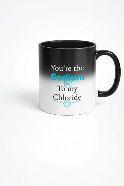 Magic Mok 'You're the Sodium to my Chloride' - Chemie Liefde Warmtegevoelige Koffiemok - Na Cl Cadeau