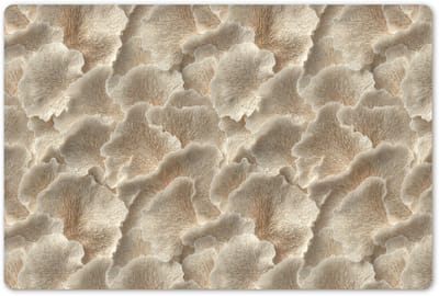 Placemats 45x30 cm - Placemat kunststof - 1 stuk - Waaierstructuren - Beige - Vezeltextuur - Borden onderleggers - Decoratie voor op tafel - Keuken tafeldecoratie accessoires - Vinyl onderlegger - Tafelversiering
