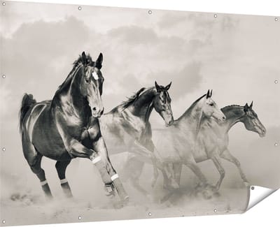 Gards Tuinposter Vier Paarden naast Elkaar - Zwart Wit - 180x120 cm - Tuindoek - Tuindecoratie - Wanddecoratie buiten - Tuinschilderij