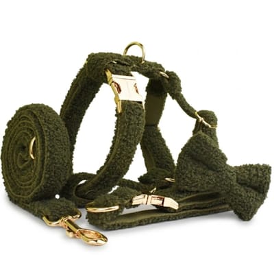 DreamPawz - Teddy Ready - 4-Delige Set met Tuigje, Halsband, Strik en Riem - Harnas voor kleine honden - Groen - S