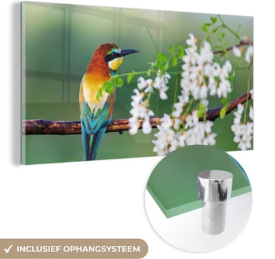 MuchoWow® Glasschilderij 40x20 cm - Schilderij acrylglas - Vogel - Bijeneter - Bloemen - Foto op glas - Schilderijen