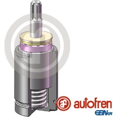 Zuiger, remklauw AUTOFREN SEINSA D025738K, achter
